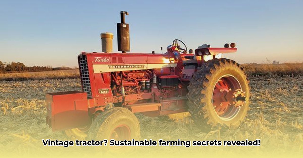 old-international-harvester-tractor